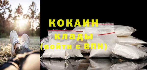 молекула духа Волосово