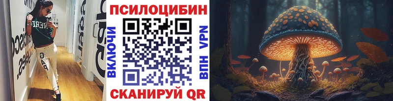 Купить  Ливны  Псилоцибиновые грибы Psilocybe 